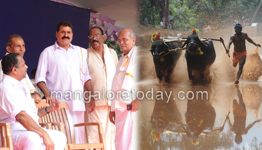 Animal Welfare Board draws flak from Kambala organisers